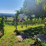 Дом отдыха Vineyard With Private Jacuzzi