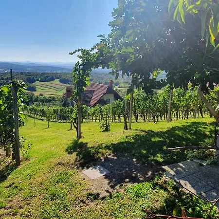Holiday home Vineyard With Private Jacuzzi