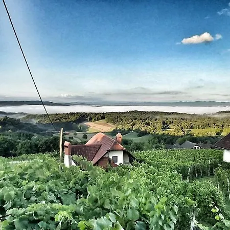 Vineyard With Private Jacuzzi Tatil Evi