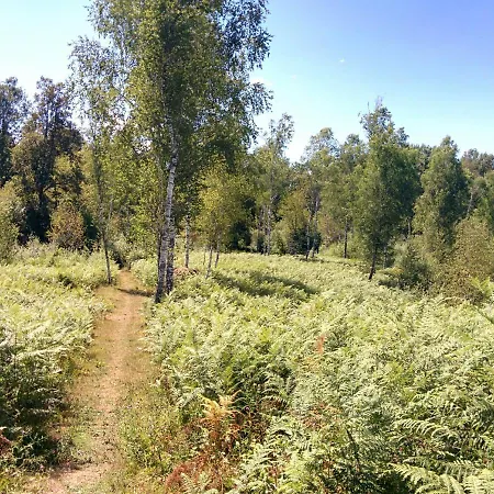 Vineyard With Private Jacuzzi Metlika