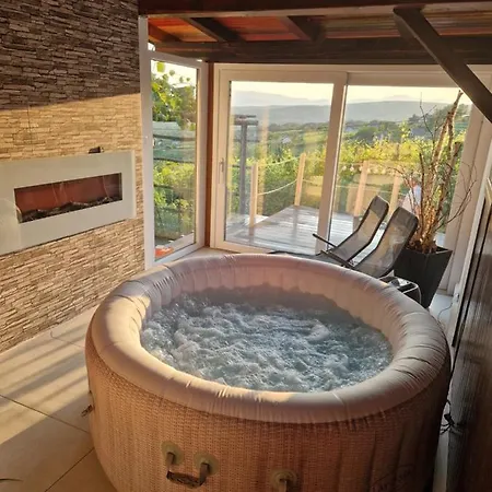 Vineyard Holidays With Jacuzzi Holiday home Metlika