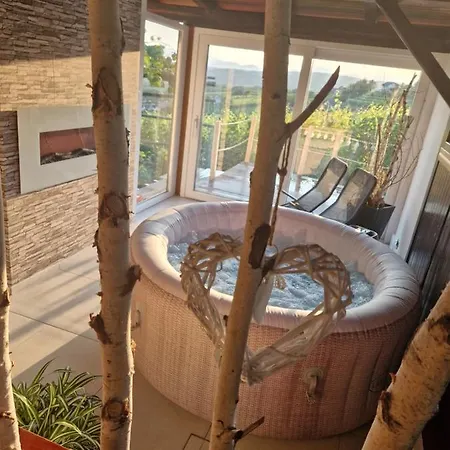 Vineyard With Private Jacuzzi Metlika