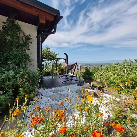 Vineyard With Private Jacuzzi Ferienhaus *