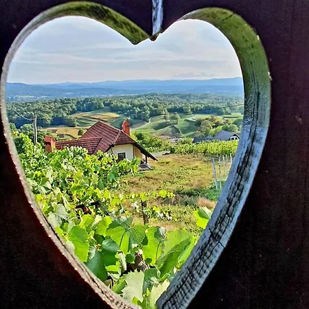 Vineyard With Private Jacuzzi * Metlika