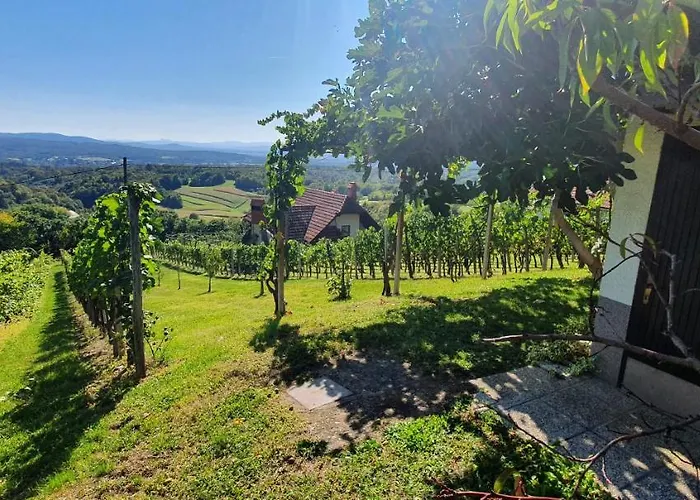 Дом отдыха Vineyard With Private Jacuzzi