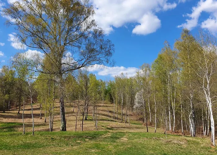 Vineyard With Private Jacuzzi * Метлика