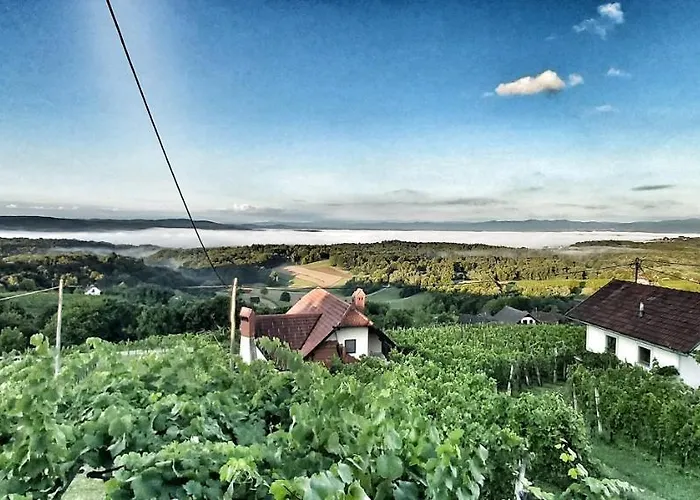 Vineyard With Private Jacuzzi Дом отдыха