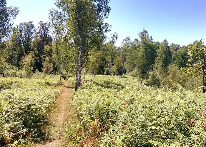 Vineyard With Private Jacuzzi Метлика