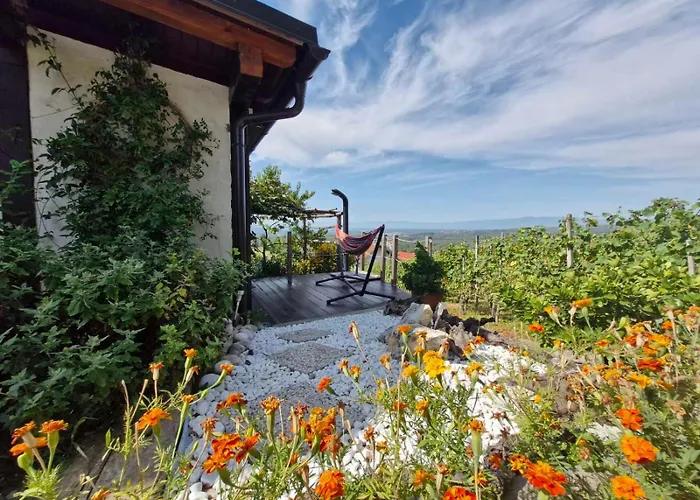 Vineyard With Private Jacuzzi Ferienhaus *