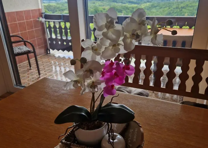 Vineyard With Private Jacuzzi Ferienhaus *