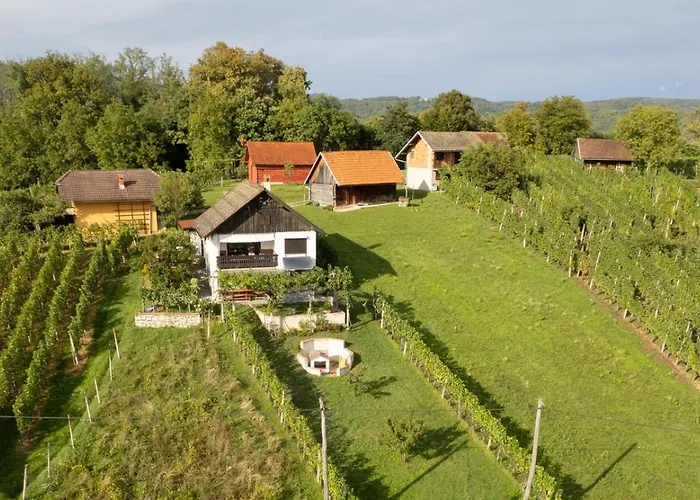 Vineyard With Private Jacuzzi Метлика