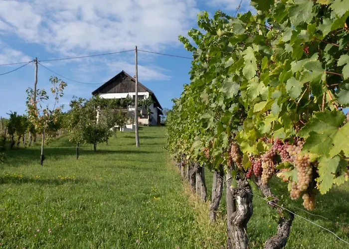 Vineyard With Private Jacuzzi